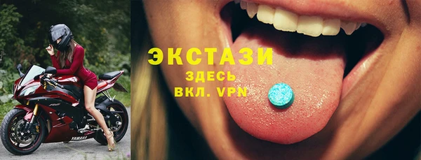 хмурый Бикин
