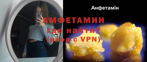 хмурый Бикин