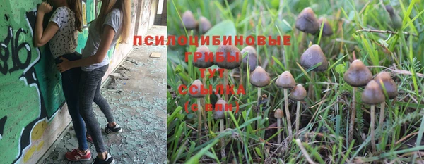 ALPHA-PVP Беслан