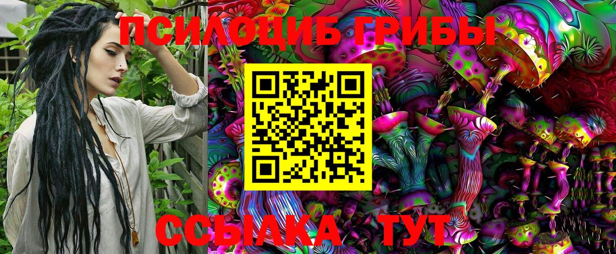 Псилоцибиновые грибы Psilocybe Ртищево